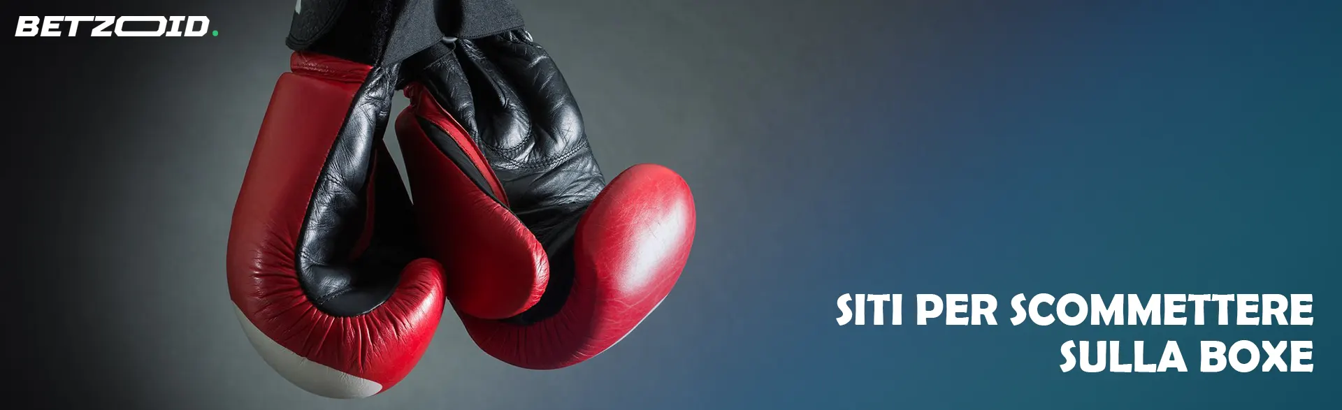 Guanti da box.