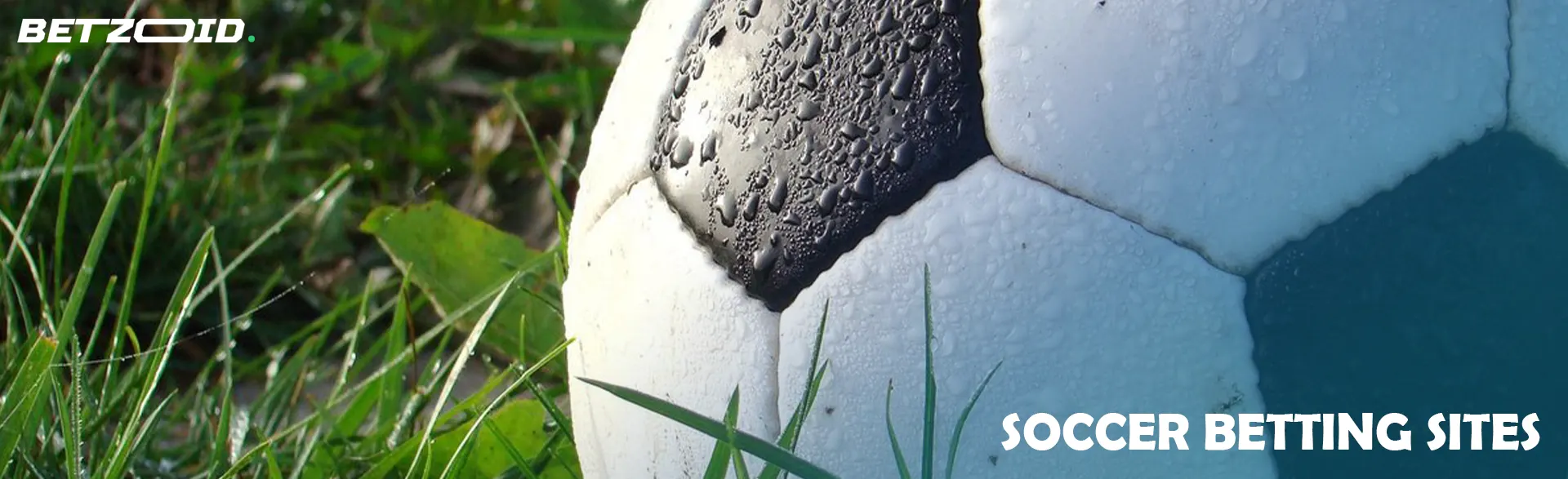 Soccer ball on the grass.