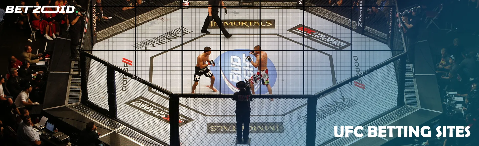 Fighters in the Octagon during the UFC tournament.