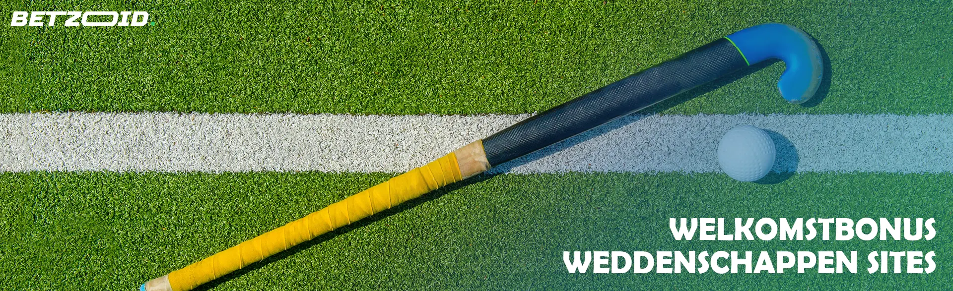 Een stick en een bal om veldhockey te spelen.