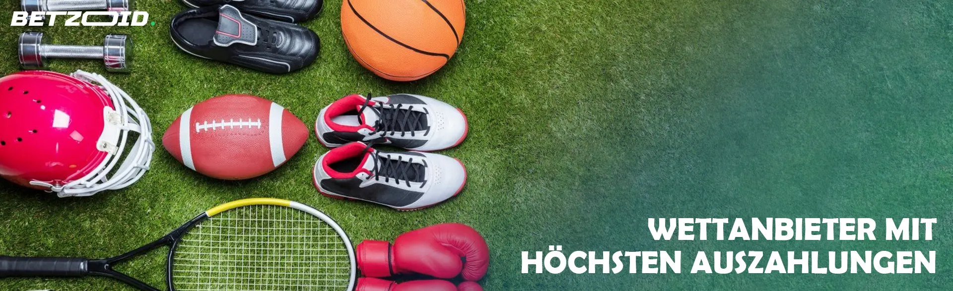 Sportgeräte liegen auf dem Rasen.